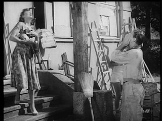 Eva erbt das Paradies... ein Abenteuer im Salzkammergut 