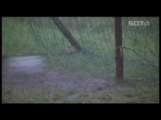 Inspector Gadget 2, FC Venus, French movie, Siegfried