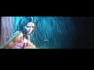 Sea Wolf, Traumschiff Surprise