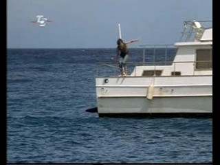 Sea Wolf, Traumschiff Surprise