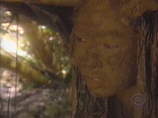 Survivor: Cook Islands