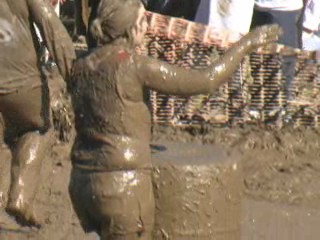 Pig Wrestling - 2006 Thresheree