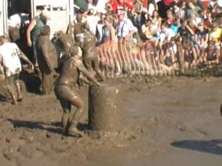 Pig Wrestling - 2006 Thresheree