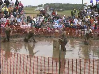 Pig Wrestling - 2007 Thresheree : Episode 1