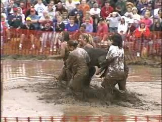 Pig Wrestling - 2007 Thresheree : Episode 1