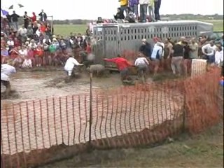 Pig Wrestling - 2007 Thresheree : Episode 2