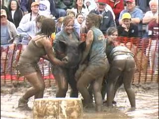 Pig Wrestling - 2007 Thresheree : Episode 2