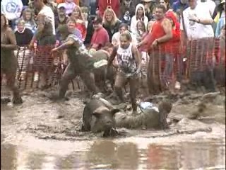 Pig Wrestling - 2007 Thresheree : Episode 2
