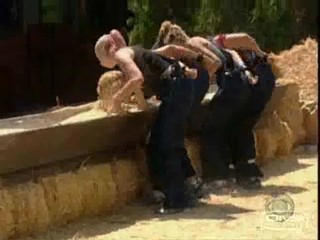 Big Brother All Stars (America)