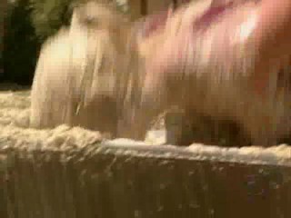 Big Brother All Stars (America)