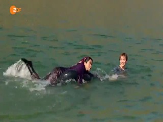 Ein Fisch namens Liebe