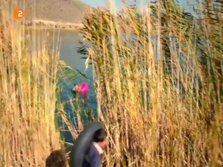 Ein Fisch namens Liebe