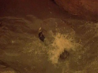 Spacehunter: Adventures in the Forbidden Zone