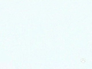 Los hombres de Paco Ola de Calor