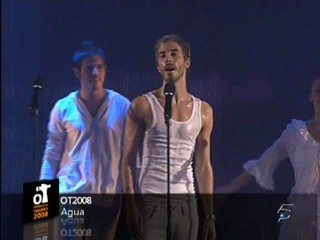 OperaciÃ³n Triunfo 2008