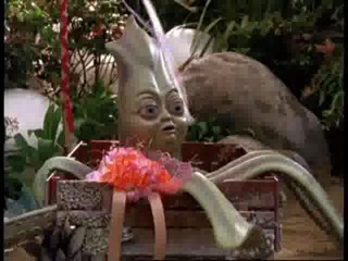 Xena - Meighan Desmond Caked