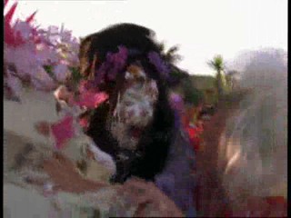 Xena - Meighan Desmond Caked