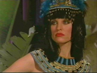 Rhea Perlman, Stacy Keibler, and Rachel York pied.