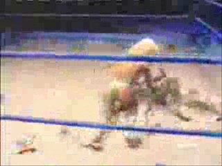 WWF: 1st. Mud Match 7th Anniversary