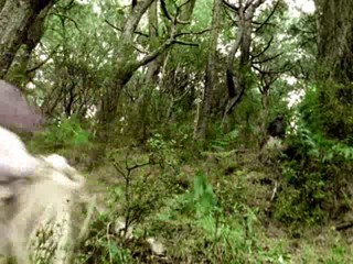 Power Rangers - Dino Thunder