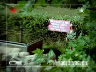 Power Rangers - Dino Thunder