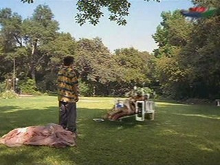 The Even Stevens Movie