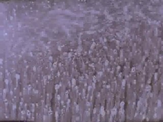 Cal's Car Wash (Carnival Of Souls 98)