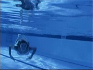 Walk Away And I Stumble