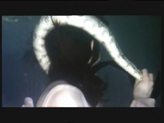 Make Me a Supermodel