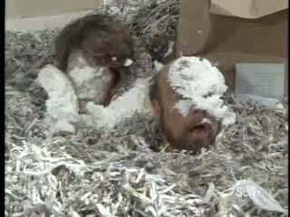 Penny Peyser pie scenes