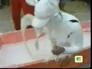 IBYW / Princess Diaries / Raymond