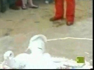 IBYW / Princess Diaries / Raymond