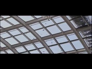 Christmas in Wonderland