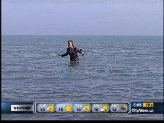 CITY TV News Toronto