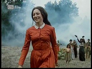 Ako listy jedneho stromu 1