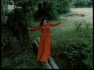 Ako listy jedneho stromu 1