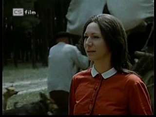 Ako listy jedneho stromu 1