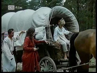 Ako listy jedneho stromu 1