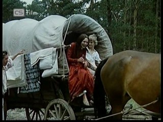 Ako listy jedneho stromu 1