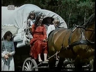 Ako listy jedneho stromu 1