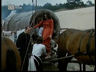 Ako listy jedneho stromu 1