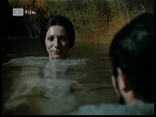 Ako listy jedneho stromu 3