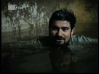 Ako listy jedneho stromu 3