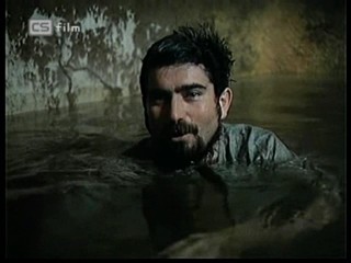 Ako listy jedneho stromu 3