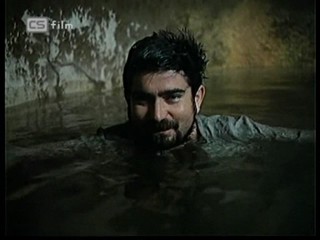 Ako listy jedneho stromu 3