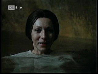 Ako listy jedneho stromu 3