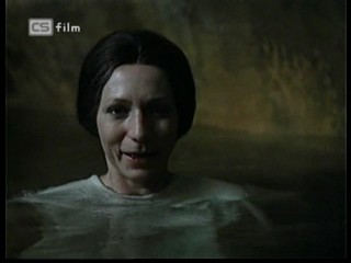 Ako listy jedneho stromu 3