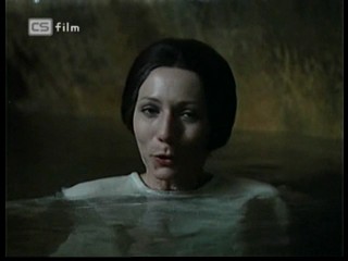 Ako listy jedneho stromu 3