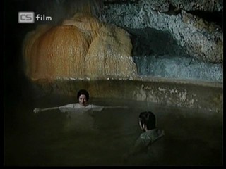 Ako listy jedneho stromu 3