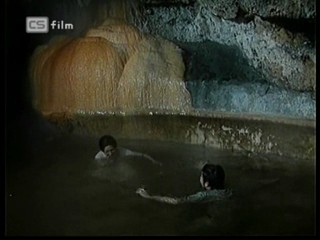 Ako listy jedneho stromu 3